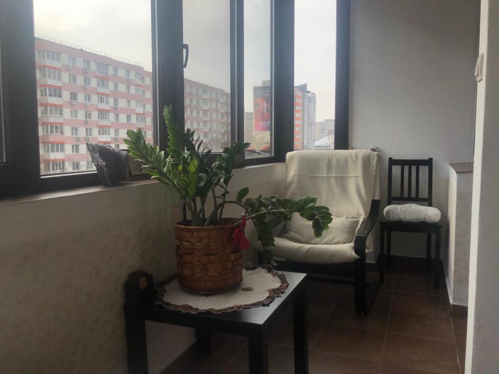 Marie Apartment 부쿠레슈티 외부 사진